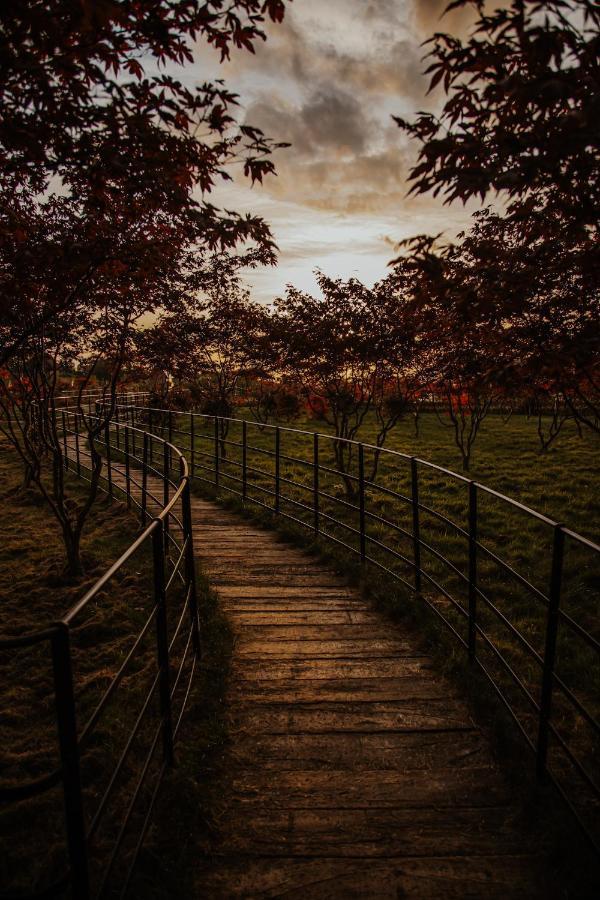 ホテル The Rudloe Near Bath - Marco Pierre White コーシャム エクステリア 写真